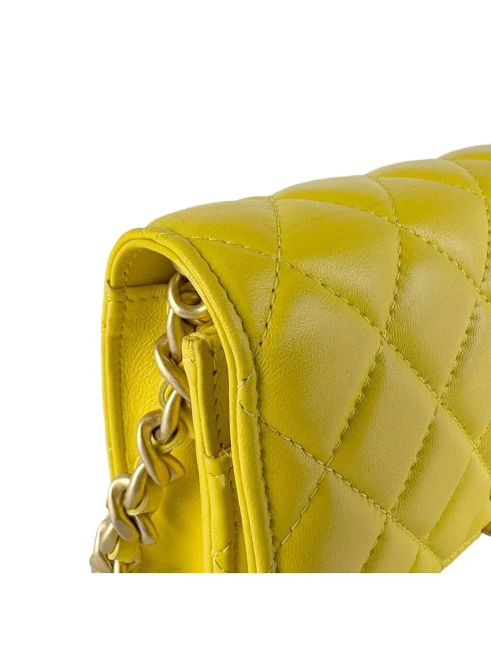 Chanel Chain Wallet Shoulder Bag